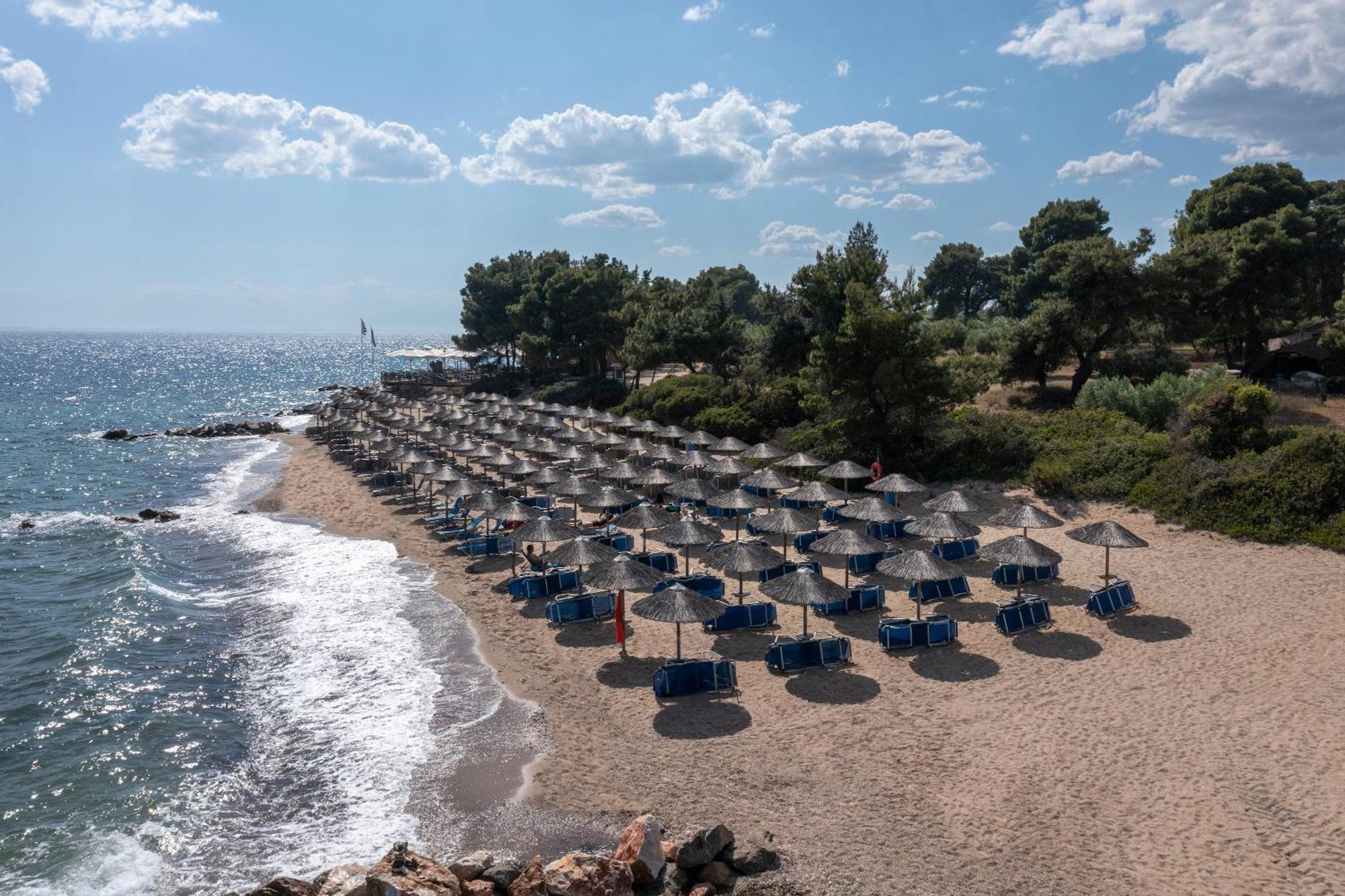 Blue Dolphin Hotel Metamorfosi  Zewnętrze zdjęcie