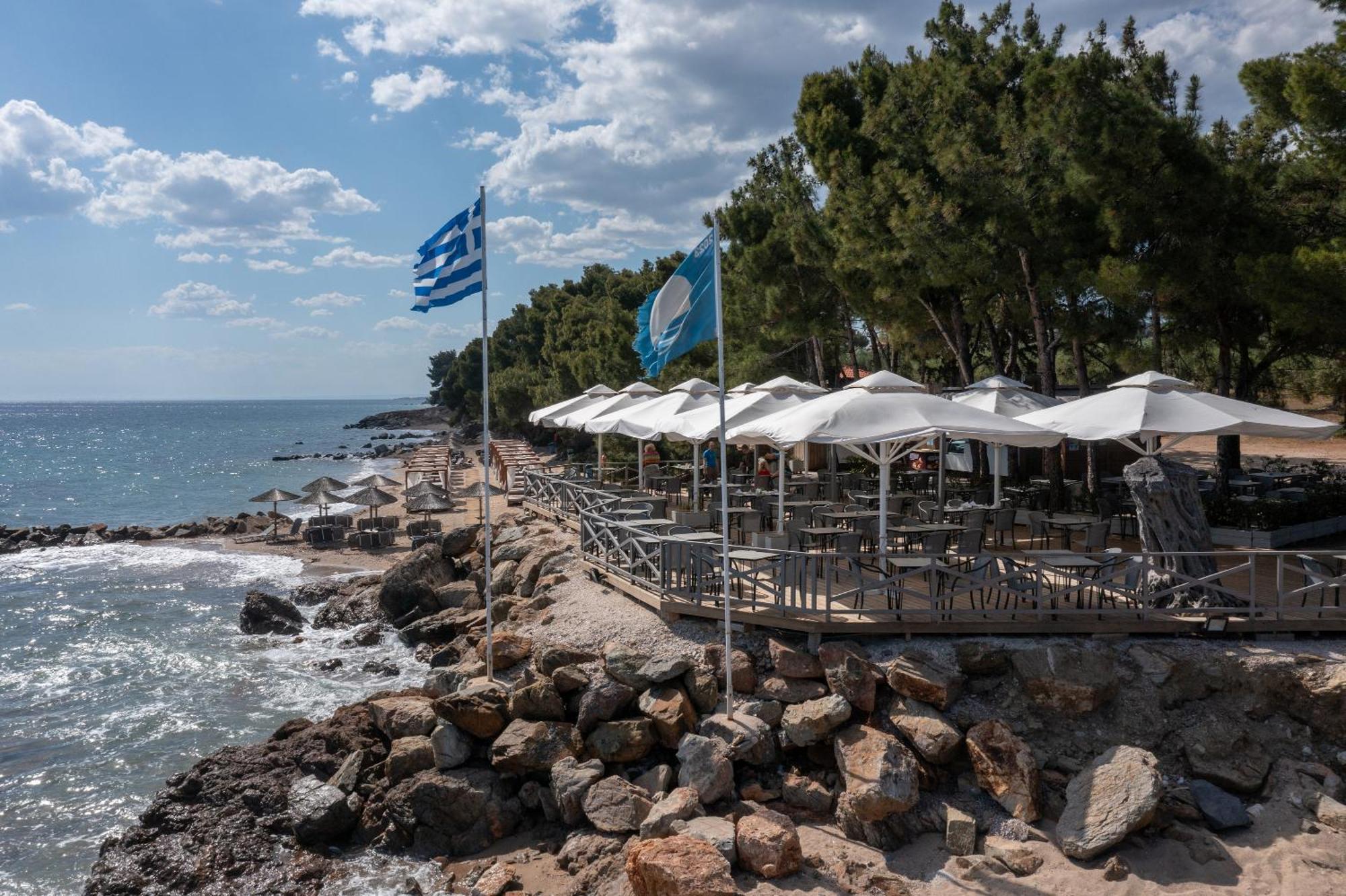 Blue Dolphin Hotel Metamorfosi  Zewnętrze zdjęcie